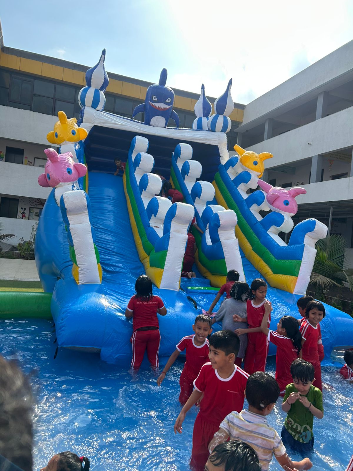 Shark-themed inflatable slide with splash pool for kids