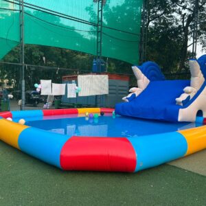 Dolphin Slide with Pool