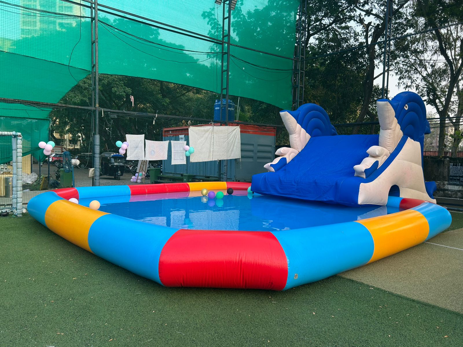 Dolphin Slide with Pool